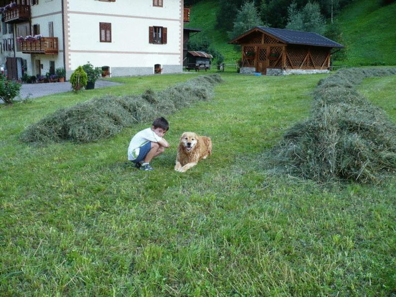 B&B Il Sorriso Dei Nonni Пракорно-ди-Рабби Экстерьер фото